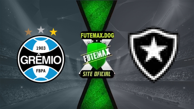 Assistir Remo x Botafogo RJ AO VIVO Online Grátis em HD 29/10/2026